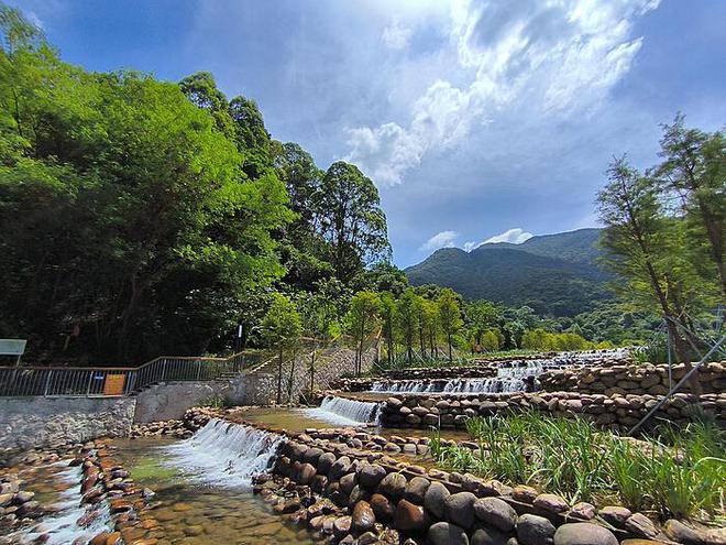 特朗普任期下的美式探索：公司推出4年旅行套餐策略解析